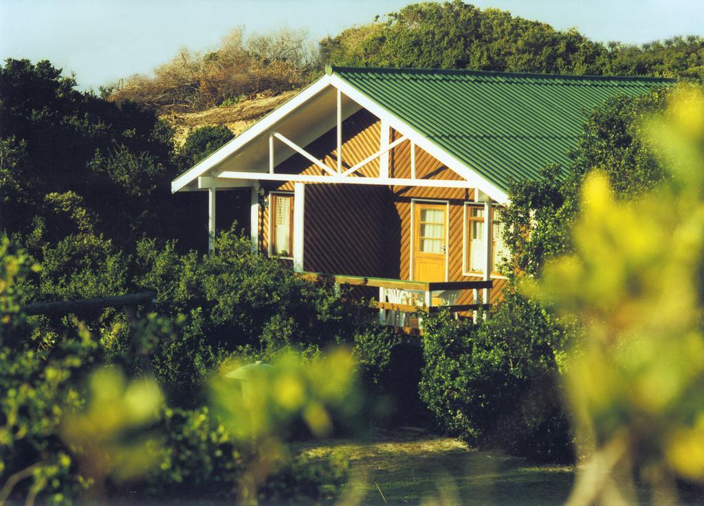 Pine Lodge Resort Puerto Elizabeth Exterior foto